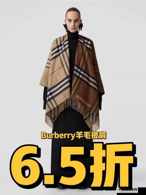 BURBERRY 中文免费版：引领时尚潮流的经典奢华之选